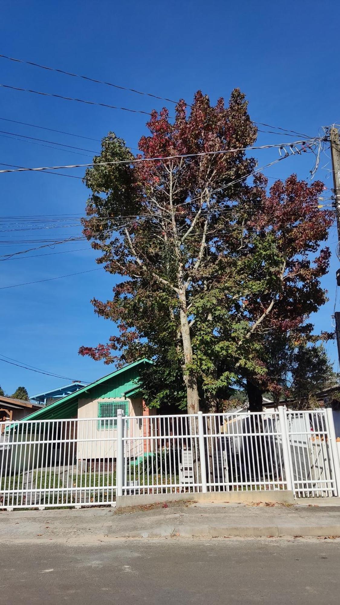 Casa Guimaraes - Privacidade - Conforto - Wifi - Netflix 卡内拉 外观 照片